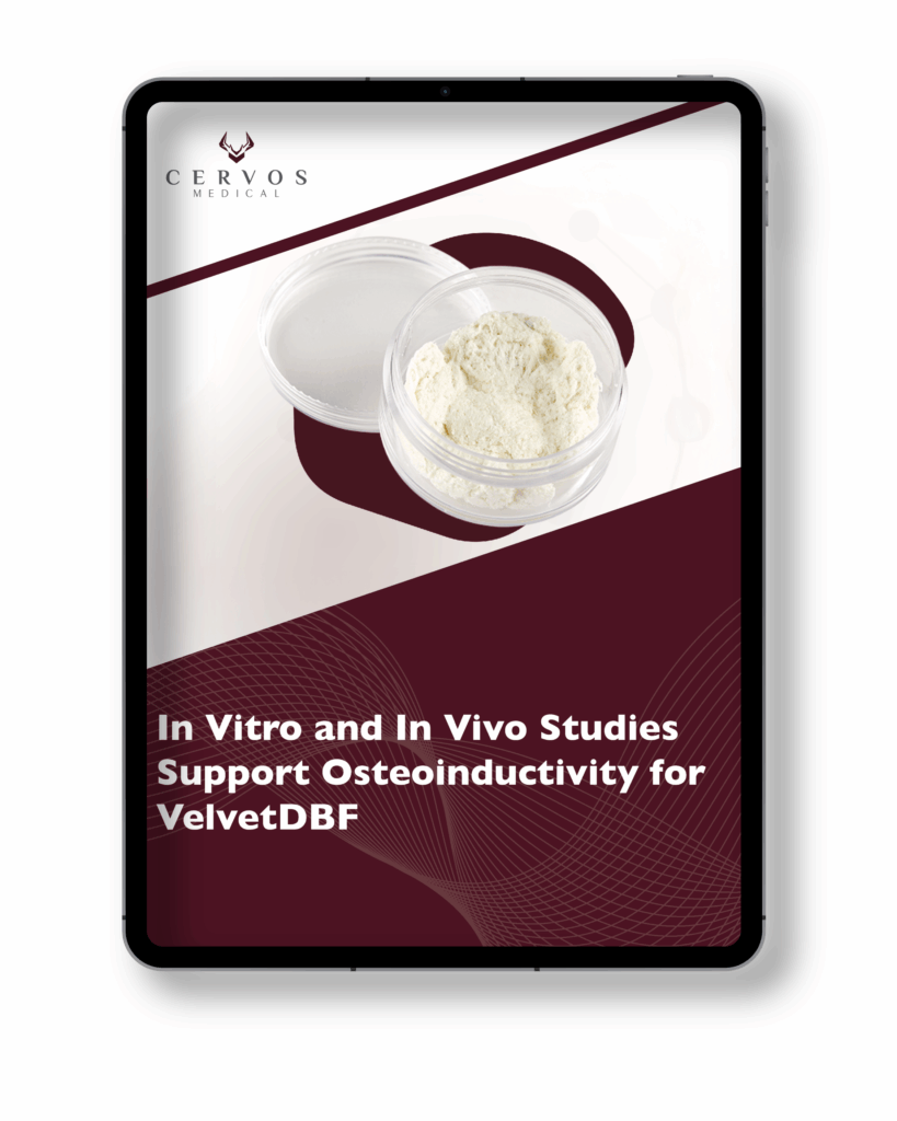In Vitro and In Vivo Studies Support Osteoinductivity for VelvetDBF